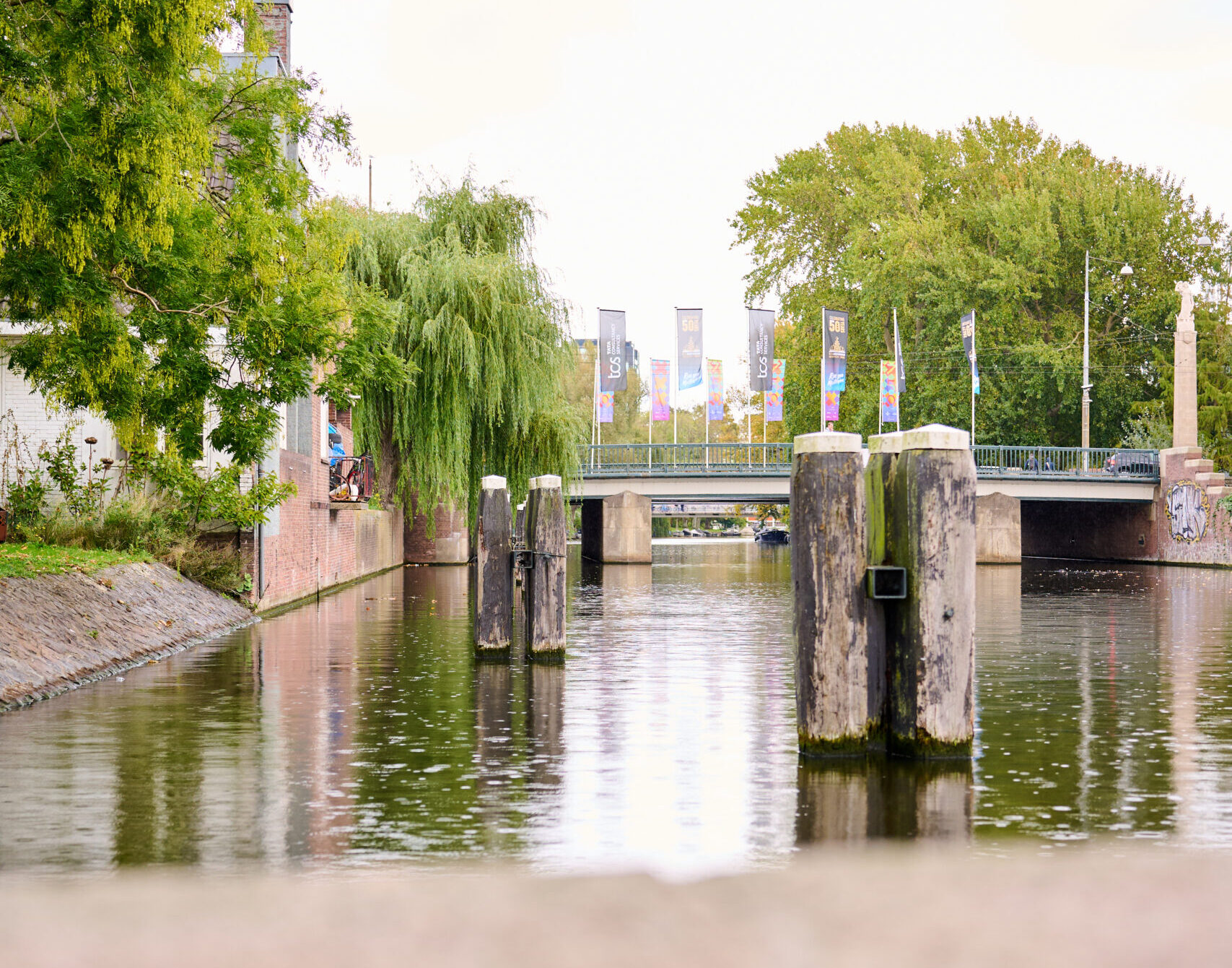 Een stukje groen Amsterdam